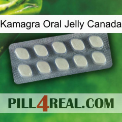 Kamagra Oral Jelly Canada 08